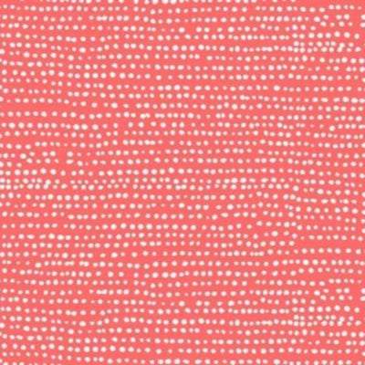 Basics by Dear Stella