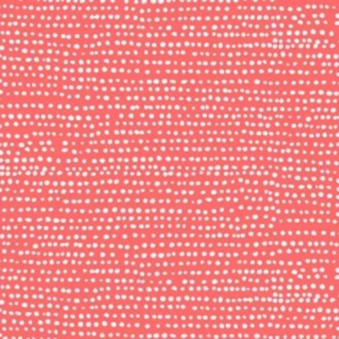Basics by Dear Stella