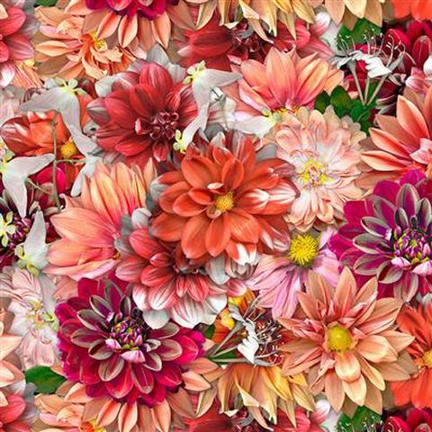 Tina's Garden by Tina Leto