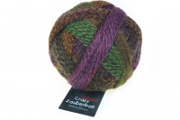 Zauberball Crazy by Schoppel