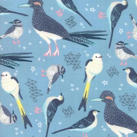 Wildlife, Birds & Insects