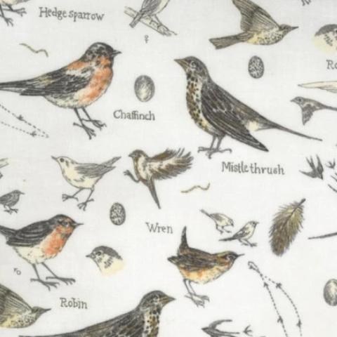 Botanicals by Janet Clare for Moda