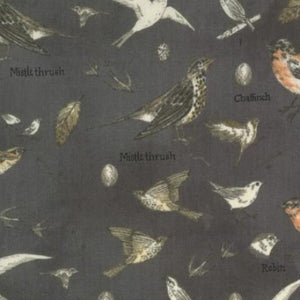 16910-14 Birds Graphite