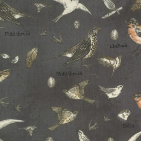 Botanicals by Janet Clare for Moda