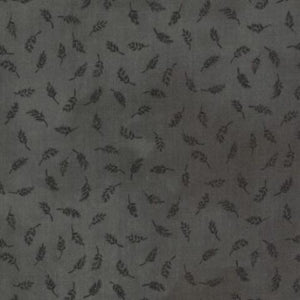 16912-13 Leaf Graphite