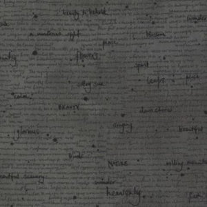 16913-15 Notes Graphite