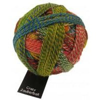 Zauberball Crazy 1701