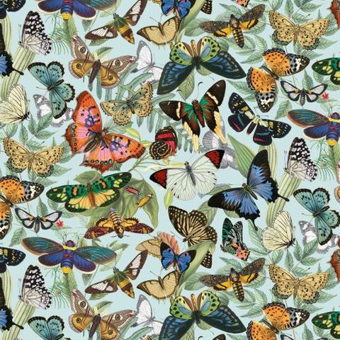 Wildlife, Birds & Insects