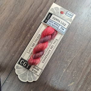 1000WL Canna Lily