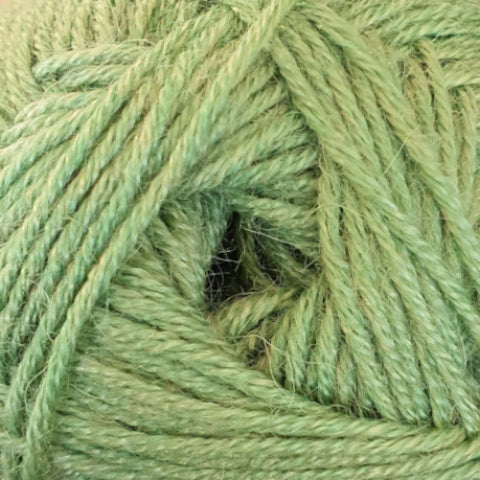 F064 Light Green