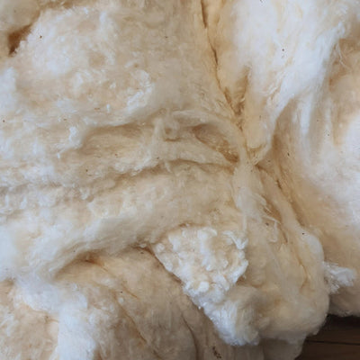 Countrywide 100% Natural Raw Cotton Filling