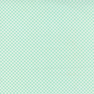20413-16 Gingham Aqua