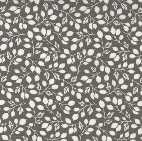 Pumpkin & Blossoms By Fig Tree & Co by Moda
