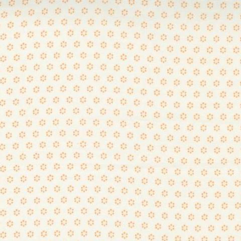 Pumpkin & Blossoms By Fig Tree & Co by Moda
