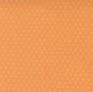 20428-12 Polka Dot Circles Pumpkin