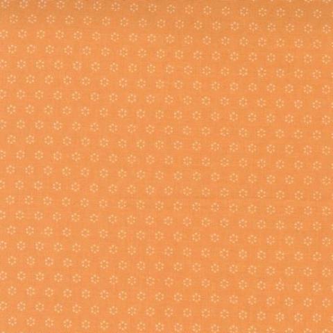 Pumpkin & Blossoms By Fig Tree & Co by Moda