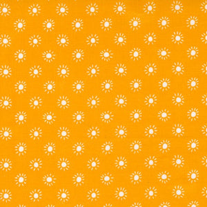 20789-14 Sunny Day Tiger
