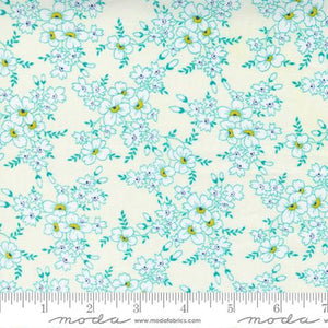 23342-11 Mayflower CLOUD