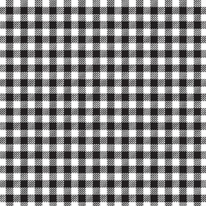 23569-10 Black Gingham