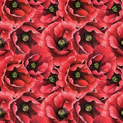Ooh La La fabric by Michel Design Works for Northcott