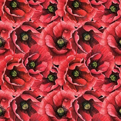 Ooh La La fabric by Michel Design Works for Northcott