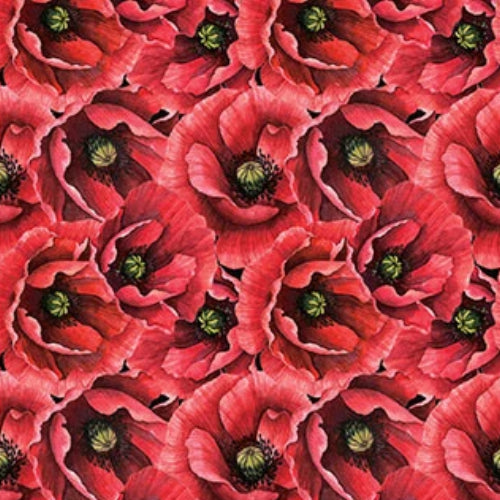 Ooh La La fabric by Michel Design Works for Northcott