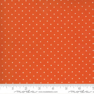 24106-13 Twinkle Pumpkin