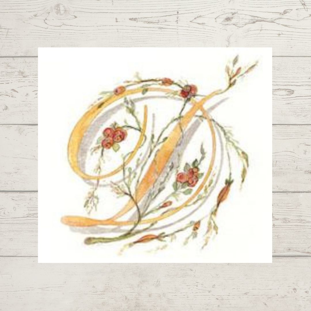 Dicraft Embroidery Panels - Monograms