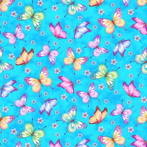 Wildlife, Birds & Insects