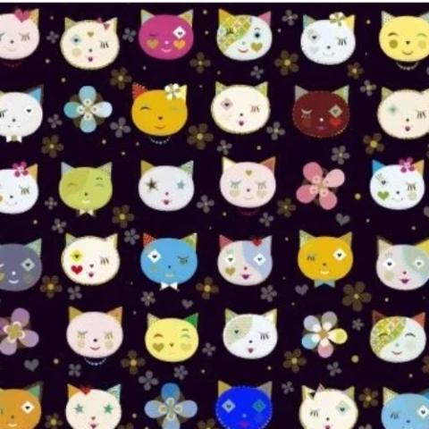 Cats & Dogs