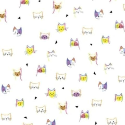 Cats & Dogs