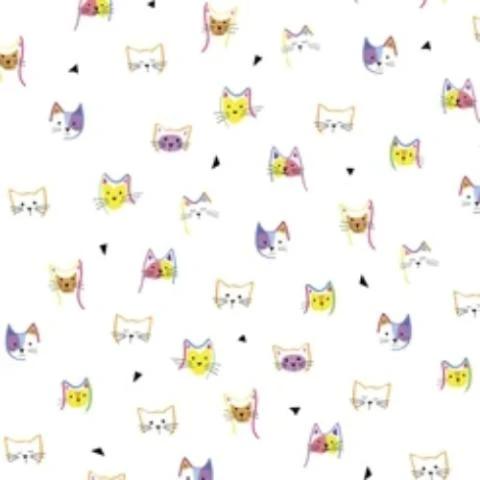 Cats & Dogs