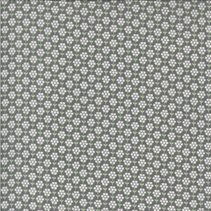 29113-13 Seedlins - Slate