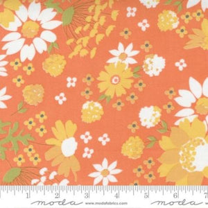 29120-12 Sunshine Harvest Cinnamon