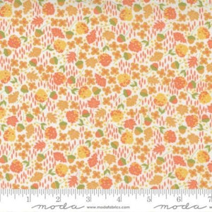 29122-11 Scattered Cloud/Cinnamon