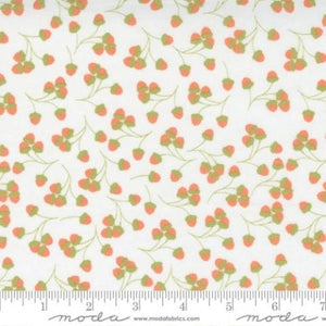 29123-11 Acorns Cloud
