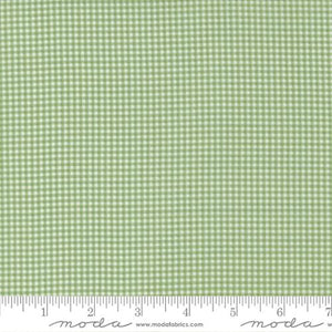 3006-14 Tiny Check -Mistletoe