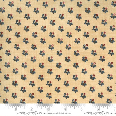 Maria's Sky 1840-1860 By Betsy Chutchian for Moda