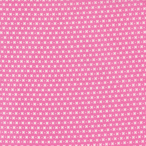 37613-17 Criss Cross Petunia