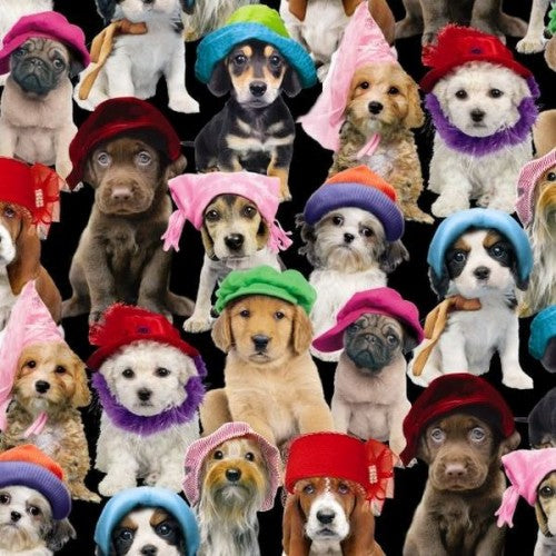 Cats & Dogs