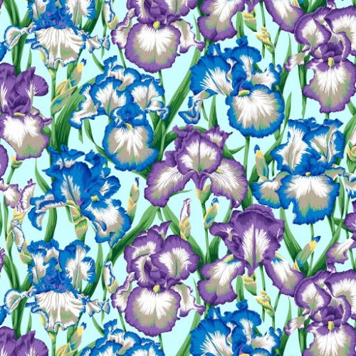 Kaffe Fassett Collective