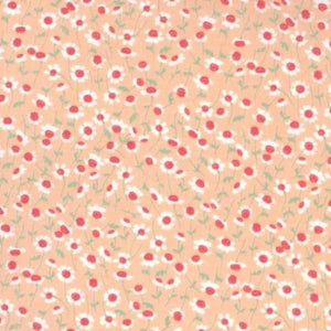 43103-12  Sweet Camomile Blush