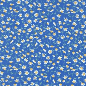 43103-15 Sweet Camomile Cornflower