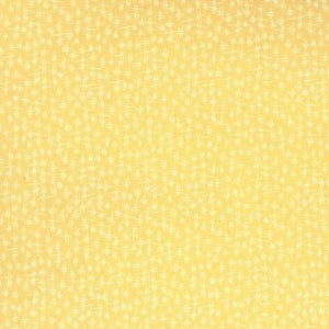 43104-18 Chicken Scratch Sunshine