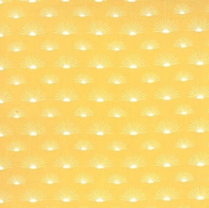 43106-18 Sunrise Sunshine