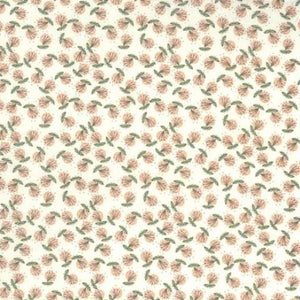 43107-21 Sprig Ivory/Blush