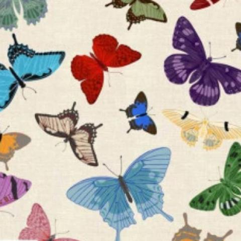 Wildlife, Birds & Insects