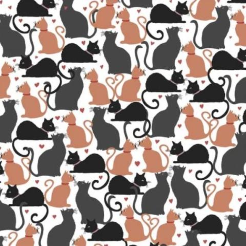 Cats & Dogs