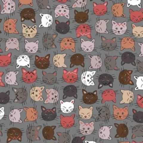 Cats & Dogs