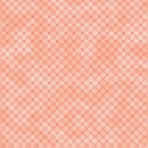 Red/ Pink/Peach Blenders